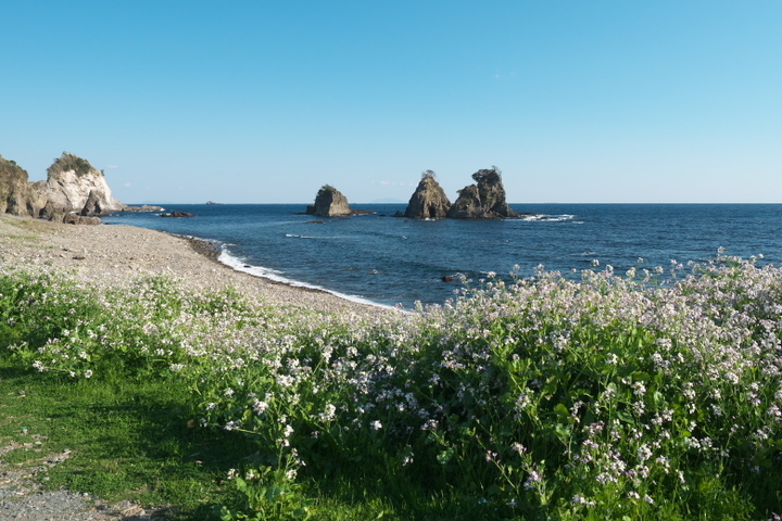 逢ヶ浜海岸