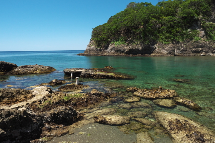 西伊豆　つば沢海岸の磯