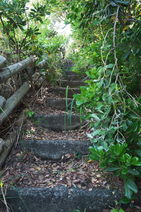 沢田公園　階段