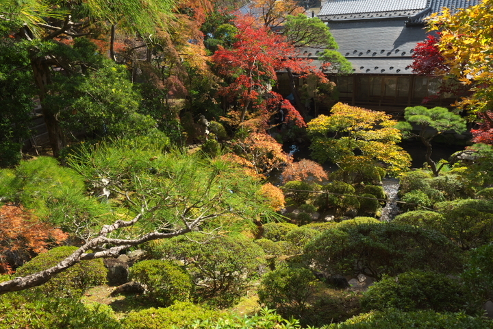 修禅寺庭園～東海第一園