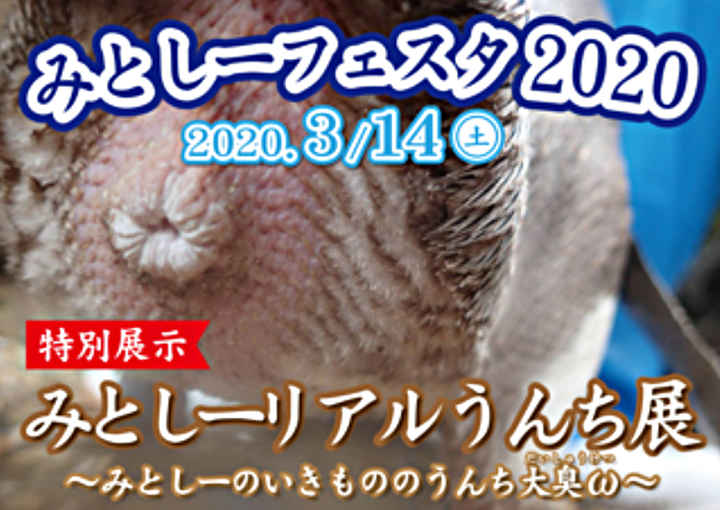 8日 月 より伊豆 三津シーパラダイスは平日営業再開も みとしーフェスタは無し イベとぴ ふじ楽いず楽