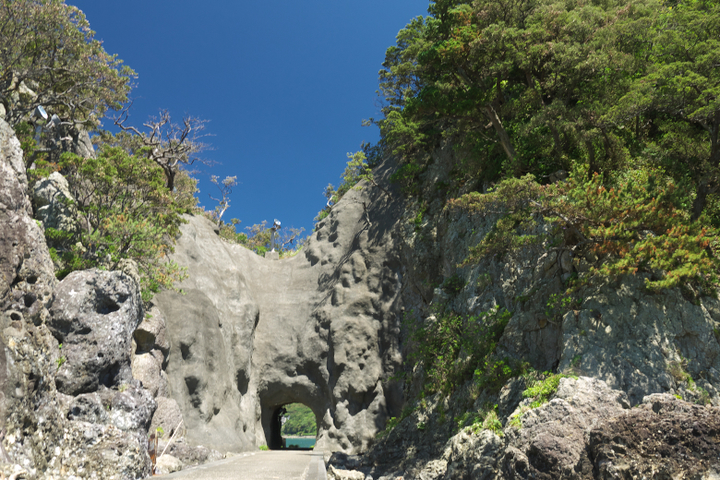 下田　犬走島　トンネル