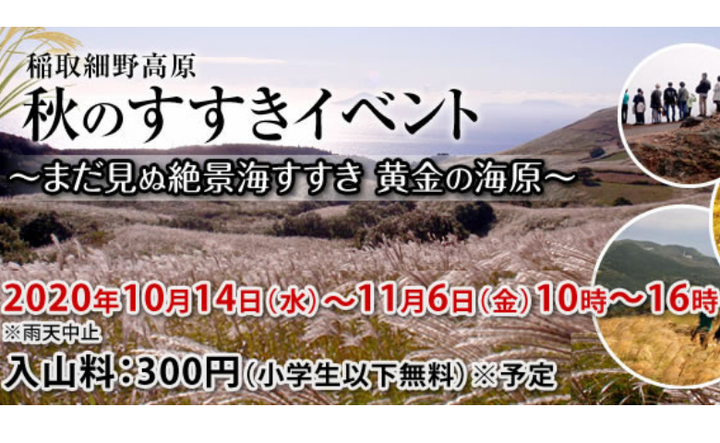 14日(水)～11月6日(金)の期間、東伊豆町で稲取細野高原秋のすすきイベントが開催されます