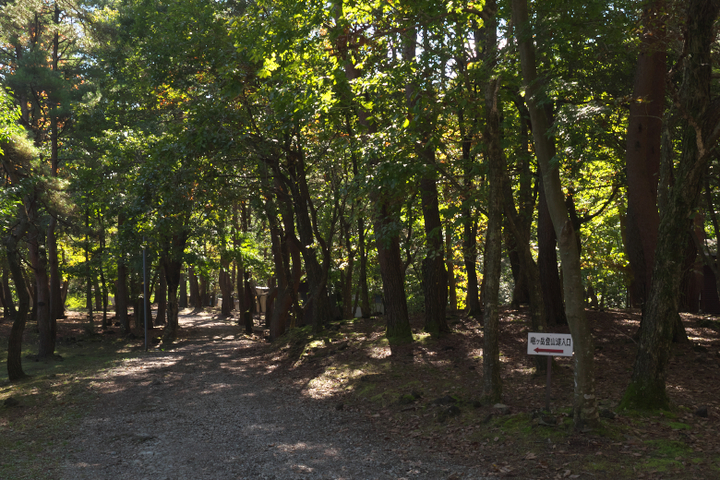 本栖湖キャンプ場 竜ヶ岳登山道