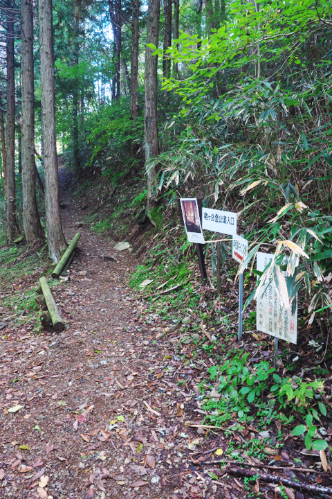 竜ヶ岳登山道入り口