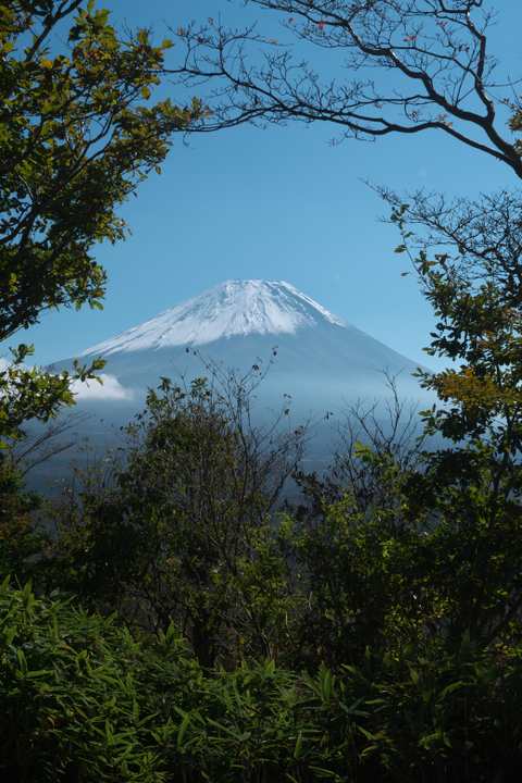 竜ヶ岳登山道　富士山