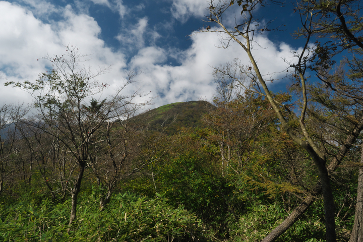 竜ヶ岳登山道　竜ヶ岳