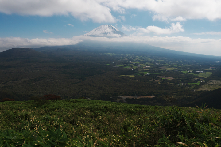 竜ヶ岳中腹 笹原　富士山