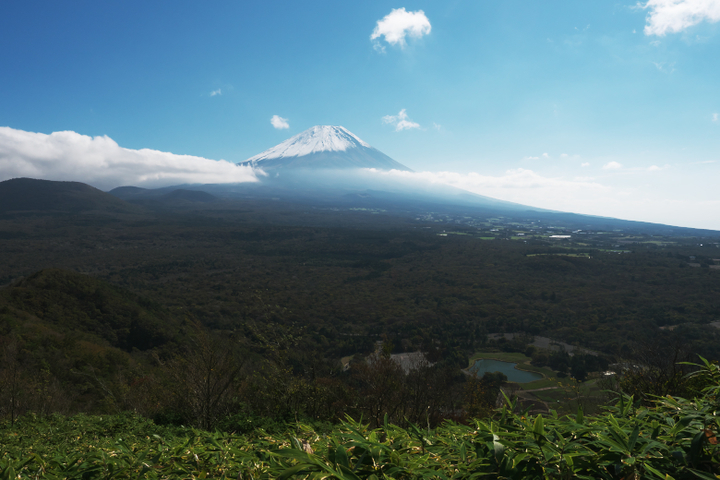 富士山と竜神池