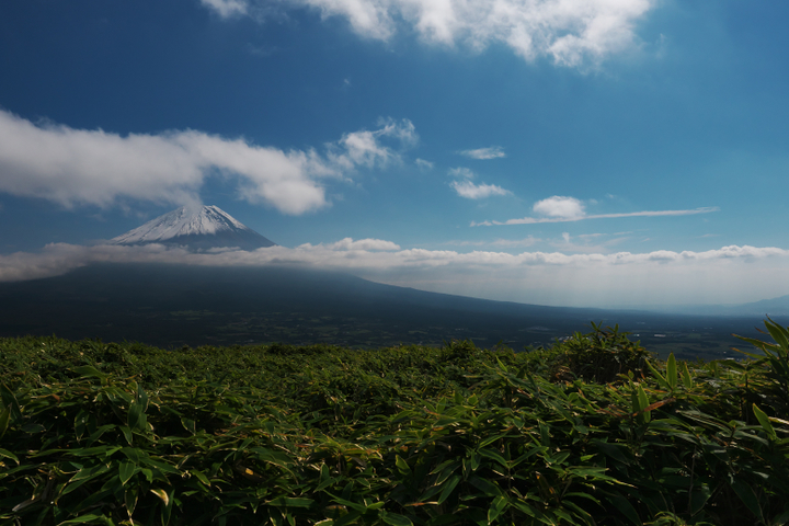 竜ヶ岳山頂　富士山