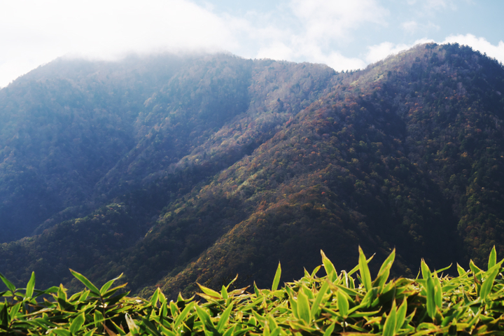 毛無山