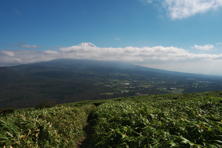 竜ヶ岳　帰路　富士山