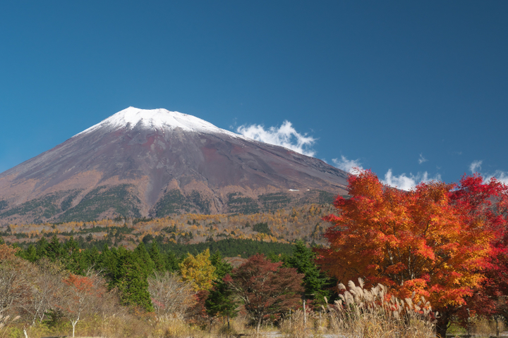 西臼塚からの紅葉と富士山