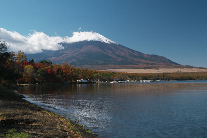 山中湖夕焼けの渚附近の紅葉