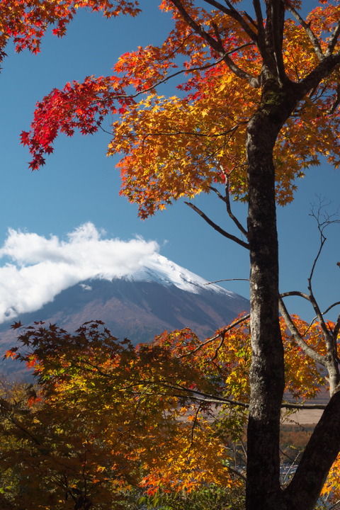 山中湖夕焼けの渚附近の紅葉と富士山2