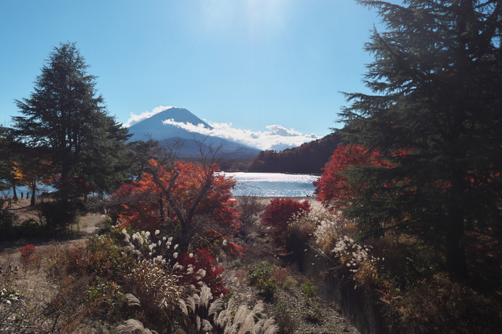 精進湖他手合浜　紅葉