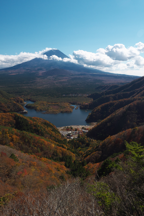 精進湖と富士山2