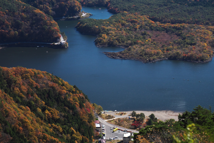 精進湖　湖畔の紅葉