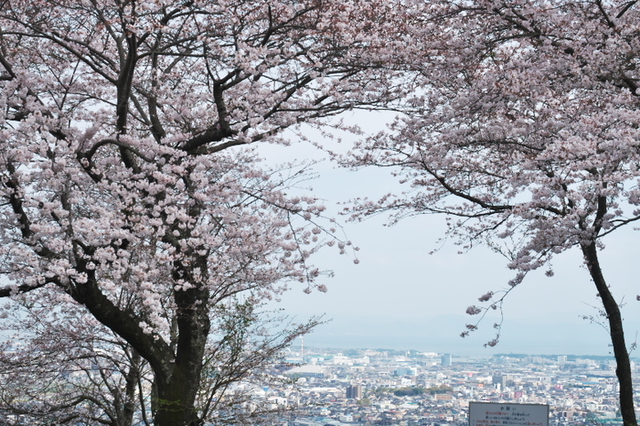 岩本山公園2