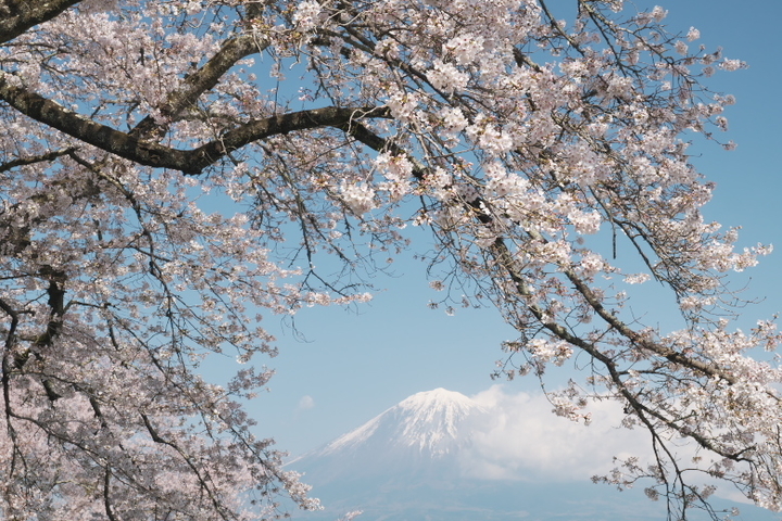 興徳寺2