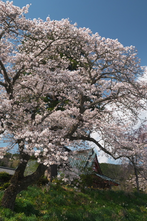 興徳寺