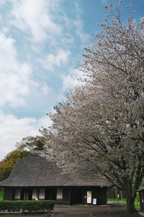 広見公園2