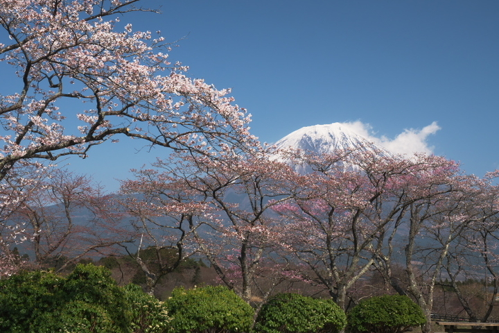 田貫湖