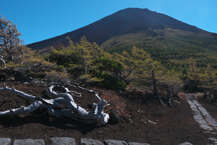 奥庭からの富士山頂