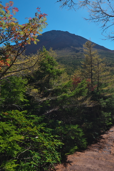 奥庭からの富士山2