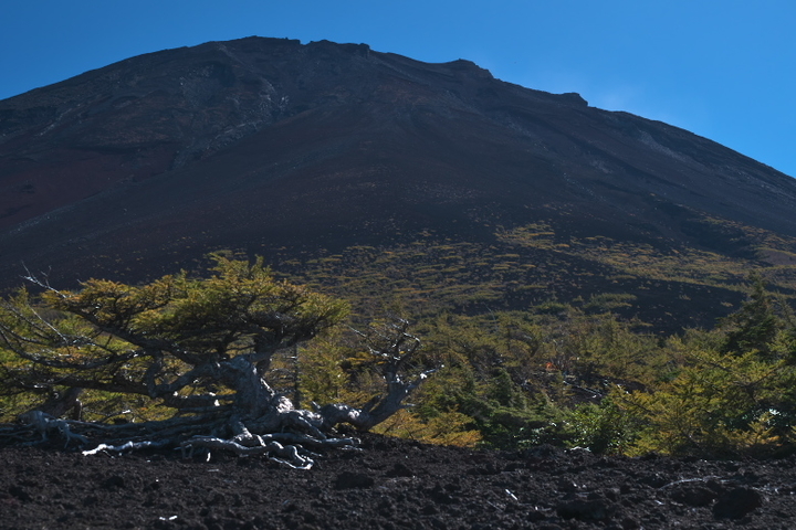 富士山1