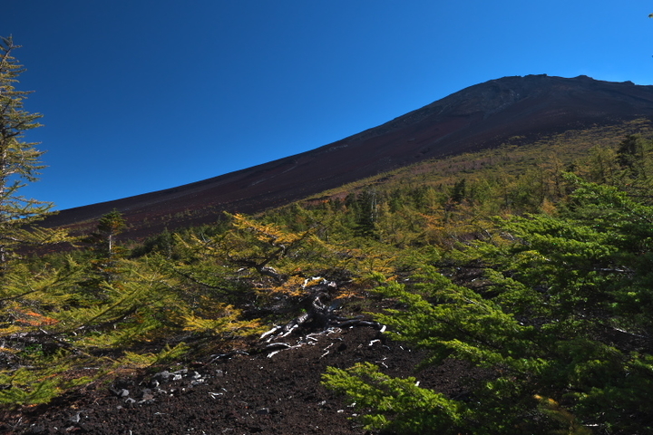 御庭からの富士山頂