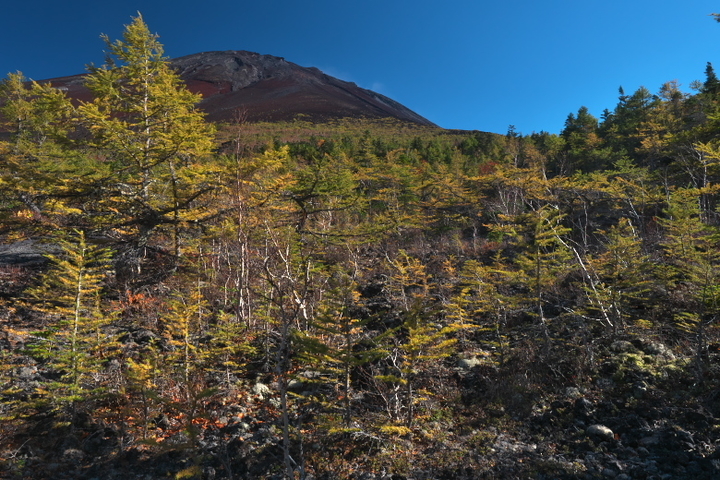 富士山 御庭復路2