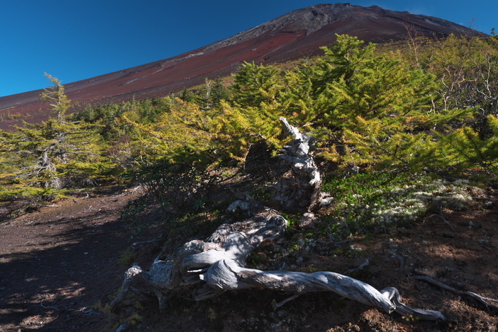 富士山 御庭復路3