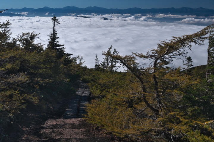 富士山 御庭復路5