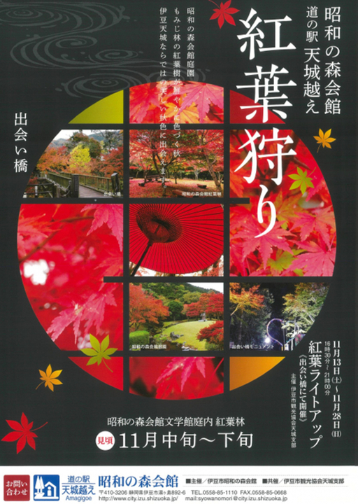 天城の紅葉狩り2021