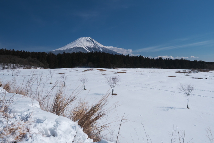 朝霧高原 雪と富士山