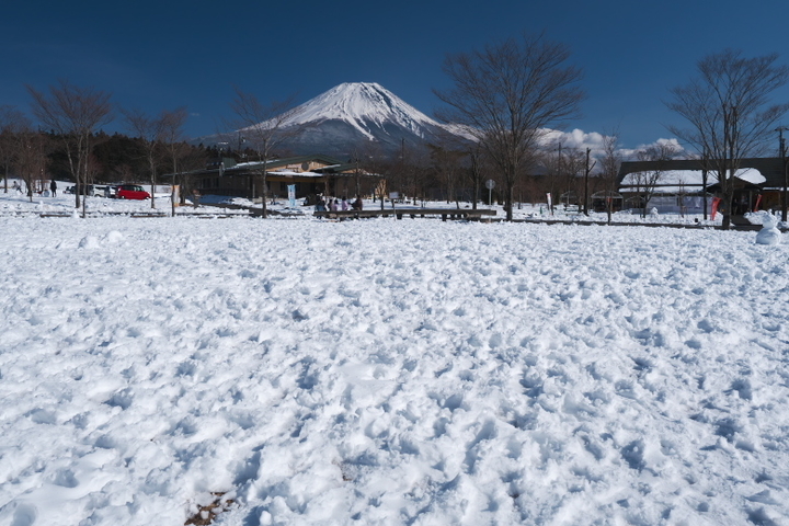 朝霧高原　フードパーク　広場