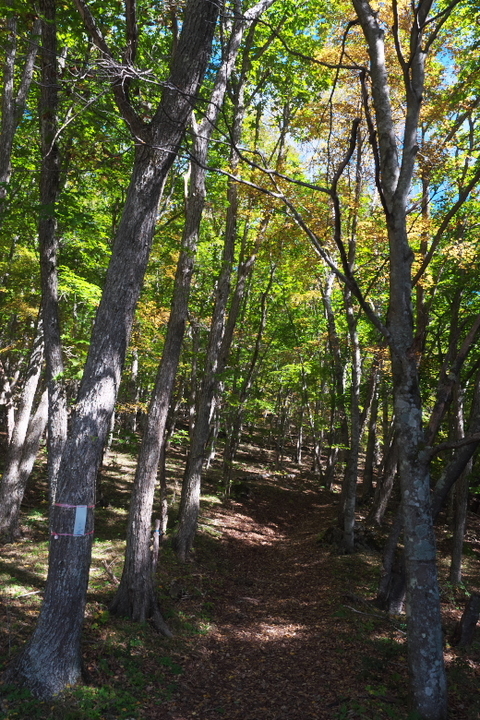 黒岳　上芦川登山口