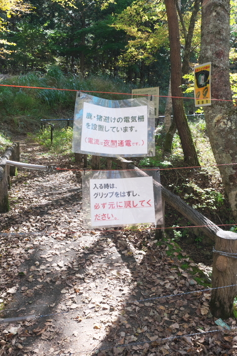 すずらん群生地 電気柵