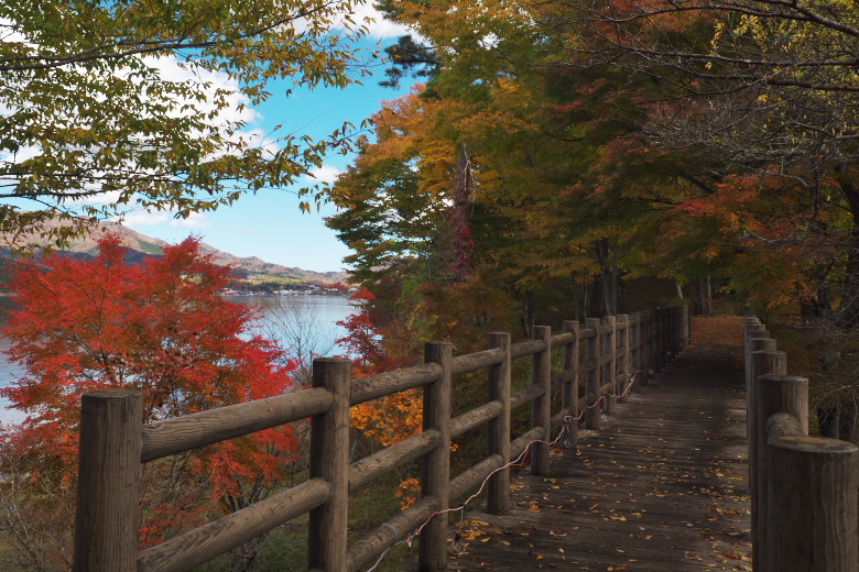 山中湖 紅葉　恋人橋