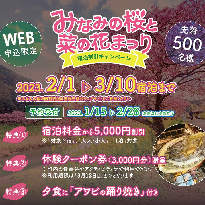 南伊豆町でみなみの桜と菜の花まつり宿泊割引キャンペーン