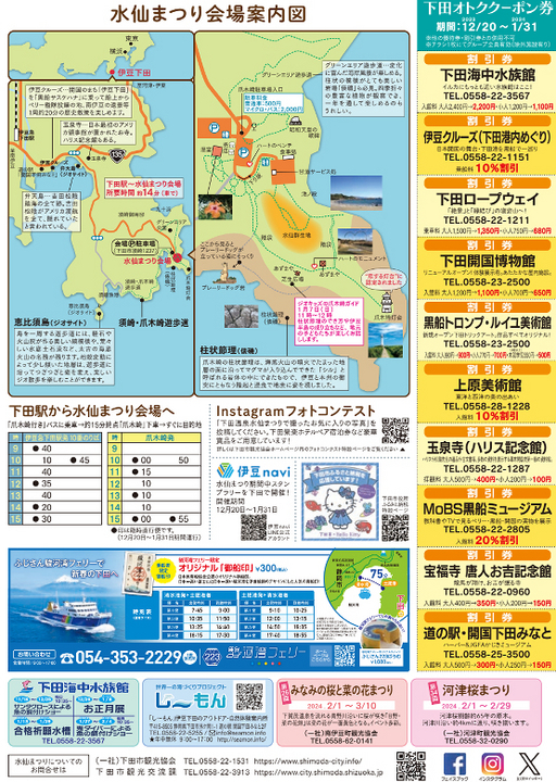 爪木崎水仙まつり2023-2024.2