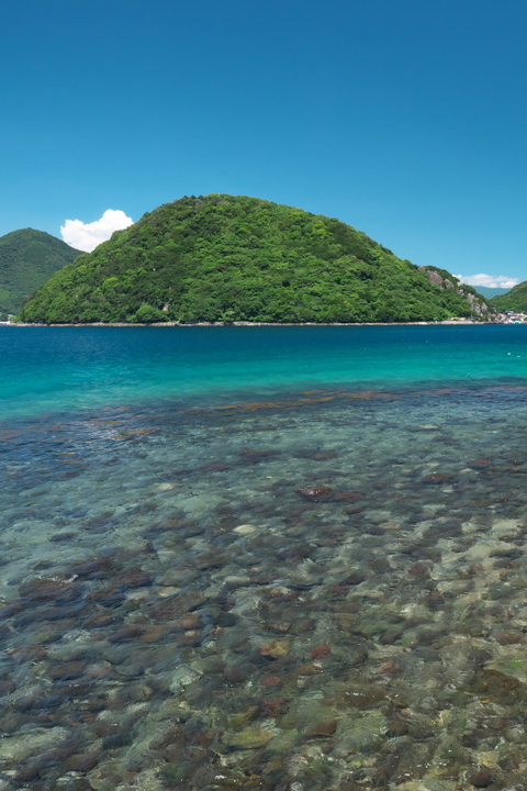 淡島