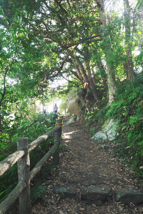 淡島神社へ1