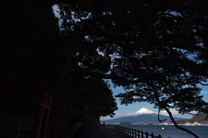 富士山