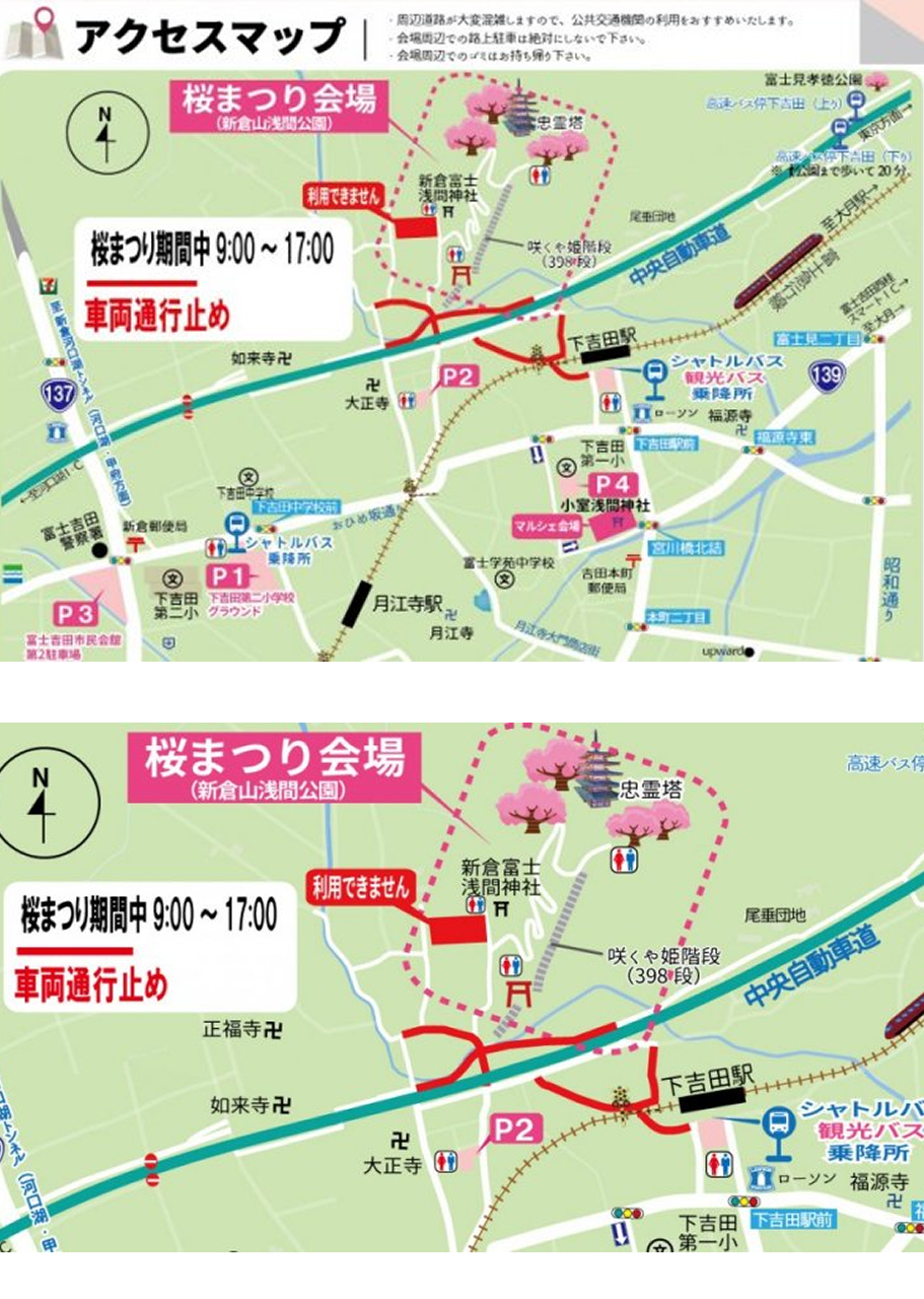 新倉山浅間公園 桜まつり2024