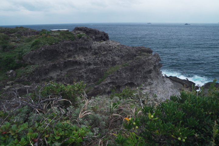 タライ岬4