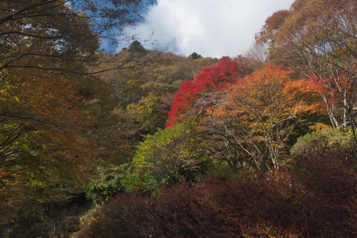 田貫湖北岸2
