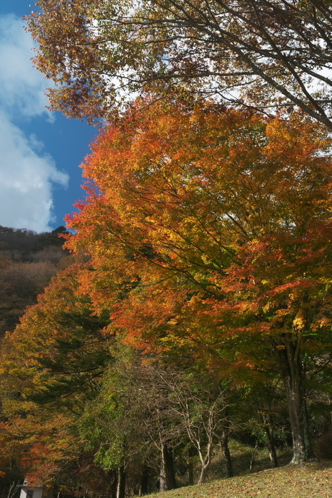 田貫湖北岸4