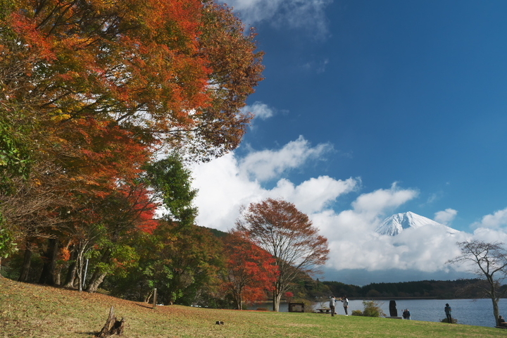 田貫湖北岸5
